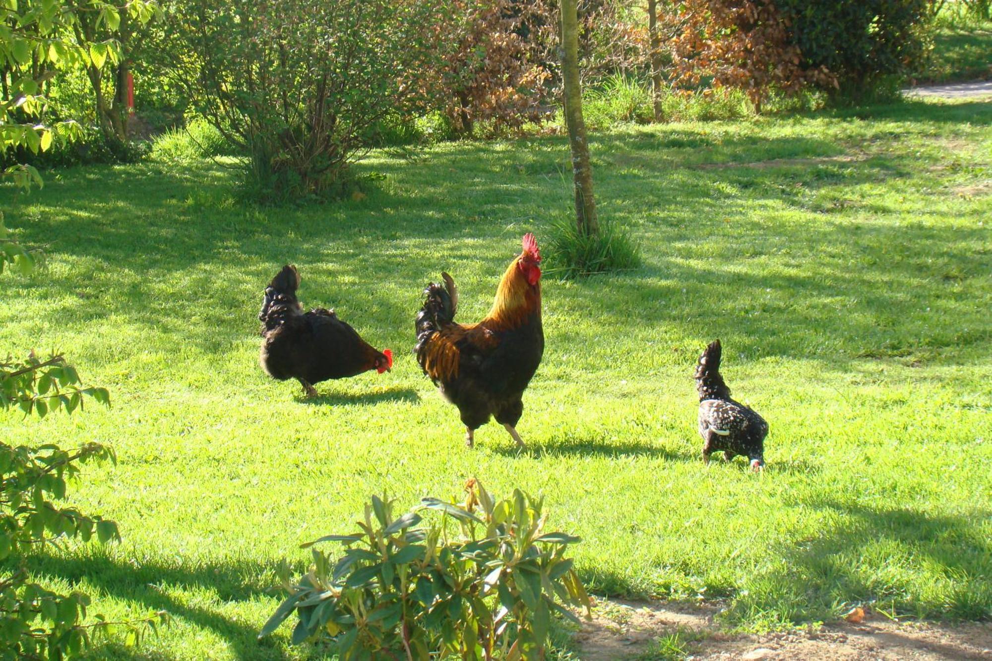 Gite De La Cour Campandre-Valcongrain Luaran gambar