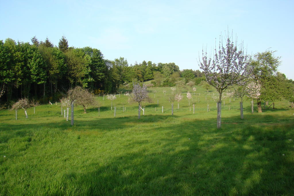 Gite De La Cour Campandre-Valcongrain Bilik gambar